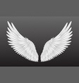 Pair beautiful white angel wings isolated on Vector Image