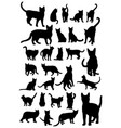 pet animal silhouettes vector image vector image