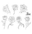 a set of sketches roses variety flowers vector image vector image