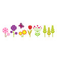 spring garden cute bright flowers meadow plants vector image