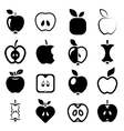 apple icons vector image