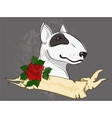 pitbull with tattoo styled ribbon and rose vector image vector image