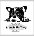 french bulldog - peeking dogs breed face head vector image