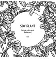 hand drawn background with soy plant vector image