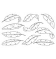 tropical leaves hand drawn line banana palm leaf vector image