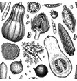 hand-sketched vegetables mushrooms herbs seamless vector image vector image