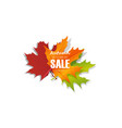 autumn sale banner with leaves vector image