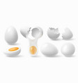 chicken eggs white easter egg cracked eggshell vector image vector image