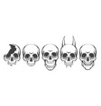 human skull front view set vector image vector image