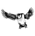puffin bird doodle hand drawn vector image vector image