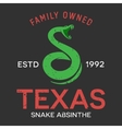 snake vintage emblem design template vector image vector image