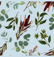 seamless pattern with branches of eucalyptus vector image