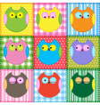 colorful owls vector image vector image