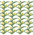 corn seamless pattern vector image