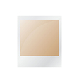 pola brown2 vector image vector image
