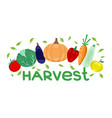 autumn harvest vegetables vector image vector image