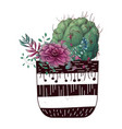 card with cactuses and succulents set plants vector image vector image