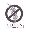 gluten free products poster with wheat vector image