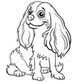 cartoon cavalier king charles spaniel purebred vector image