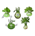 kohlrabi cabbage vegetables cartoon characters vector image
