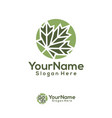 maple leaf logo design template leaf logo vector image vector image