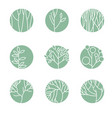 plant logo templates in circle signs set vector image vector image