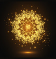 glitter decorative mandala vector image