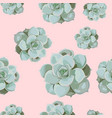 pattern arranged from echeveria succulen vector image vector image