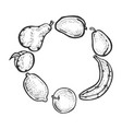 fruits sketch engraving vector image vector image