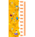 kids height chart cartoon maasdam and gouda cheese vector image vector image