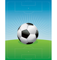soccer ball and field vector image vector image