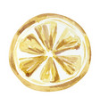 watercolor juicy lemon slice vector image