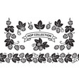 hop branches with cones and leaves seamless border vector image vector image