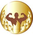 medal vector image vector image