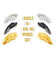 a set three pairs different wings white vector image