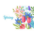 background with spring flowers vector image