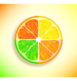 lemon orange lime and grapefruit vector image