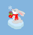 rabbit with present vector image