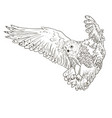 owl hand drawn black and white vector image