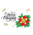 merry christmas greeting card holy and fir vector image