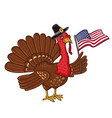 turkey with flag of america isolated on the white vector image