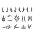 wheat wreaths and grain spikes set icons vector image vector image