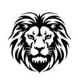 lion head logo graphic design animal wild cat vector image vector image