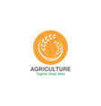 agriculture wheat logo template icon design vector image