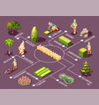 landscaping isometric flowchart vector image vector image