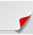 sheet of paper with curved corner vector image vector image