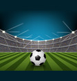 soccer ball on the field of stadium with light vector image