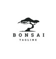 bonsai logo vector image