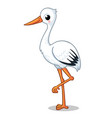 cute stork stands on one leg a white background vector image