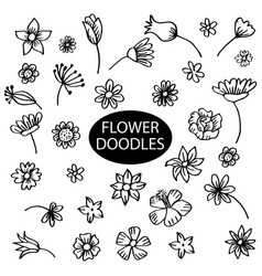 Set flower doodles Royalty Free Vector Image - VectorStock